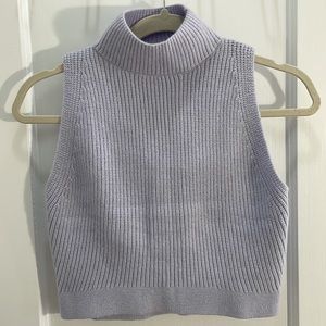 Purple Zara Knit Cropped Tank